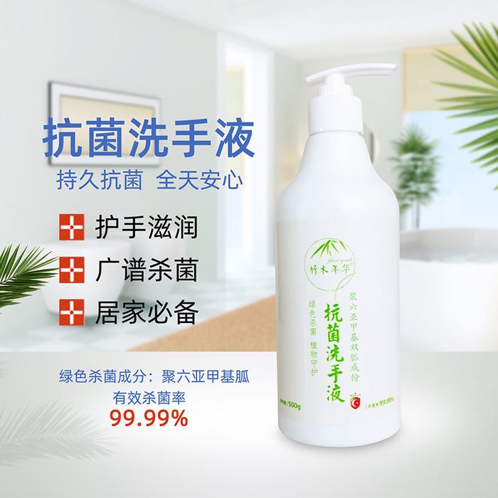 抗菌洗手液500g